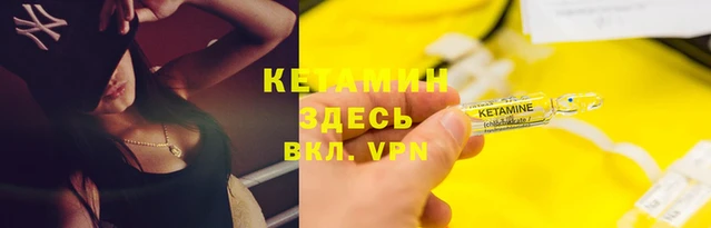 шишки Верея