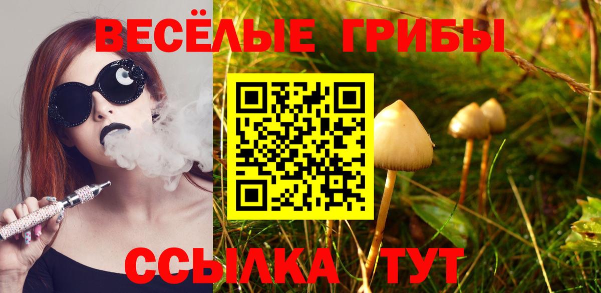 Псилоцибиновые грибы GOLDEN TEACHER  Галлюциногенные грибы ЛСД  Вход с VPN  Ярцево 